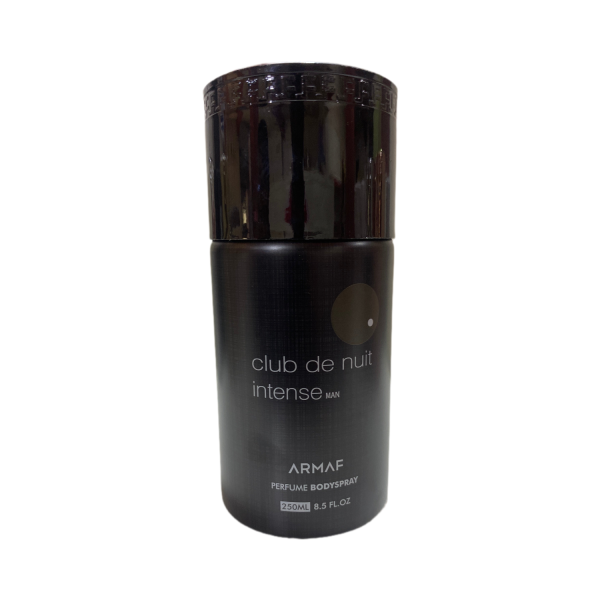 Club De Nuit Intense Man